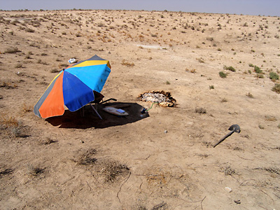 An experimental fire at El Kowm